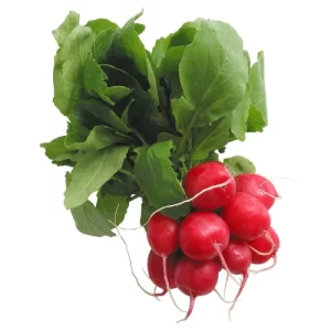 Paquete de Rabanitos