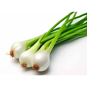 Cebollín – 3 unidades